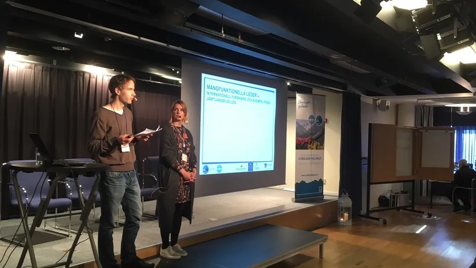 Storslagen fjällmiljö, Daniel Svensson, Idre