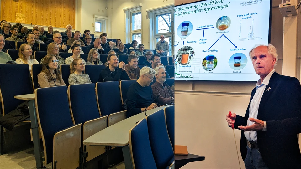 ett collage av en grupp åhörare och en man som står och pratar