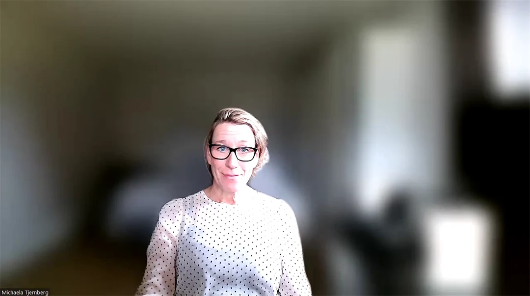 Kvinna pratar, filmad via datorns kamera