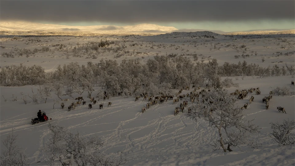 Fjällandskap täckt av snö.