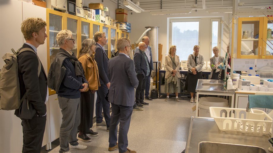 Knowledge Foundation visits MIUN