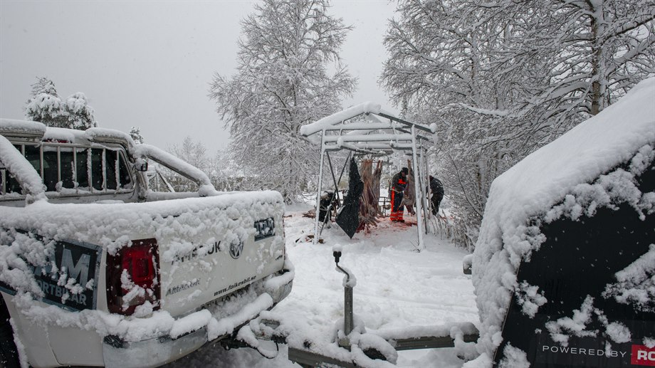 Slakt av en matren, Stålavan, Njaarke sameby.