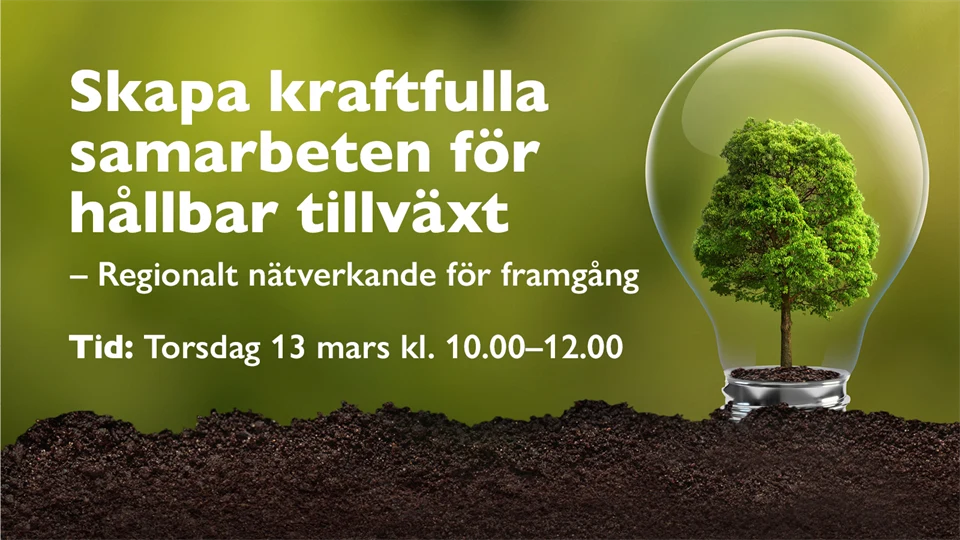 Vinjett med vit text mot en grön bakgrund och en illustration med ett träd i en glödlampa.