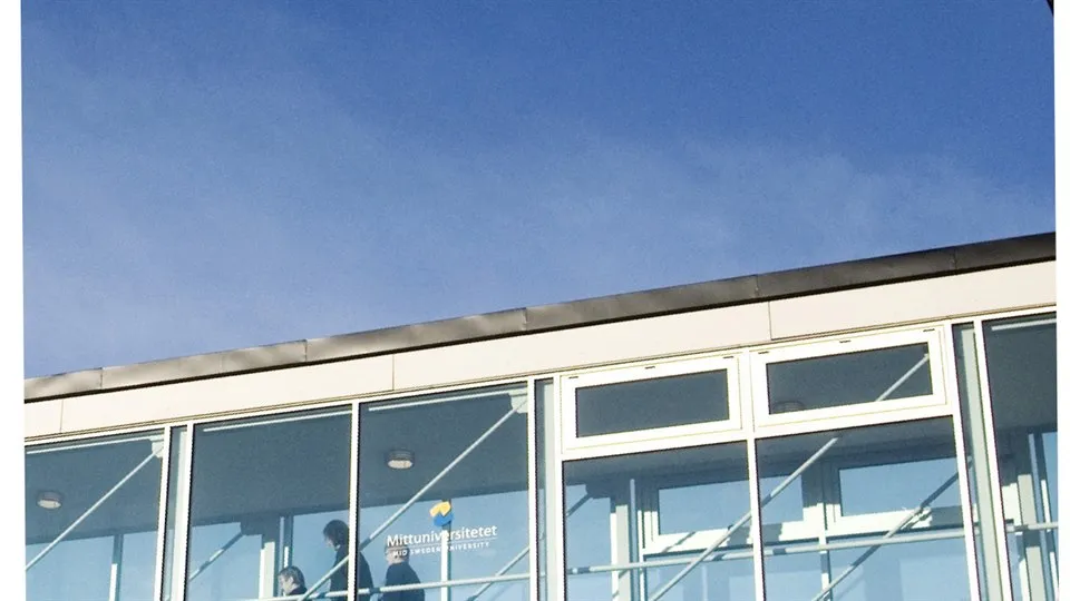 forskningsstrategi