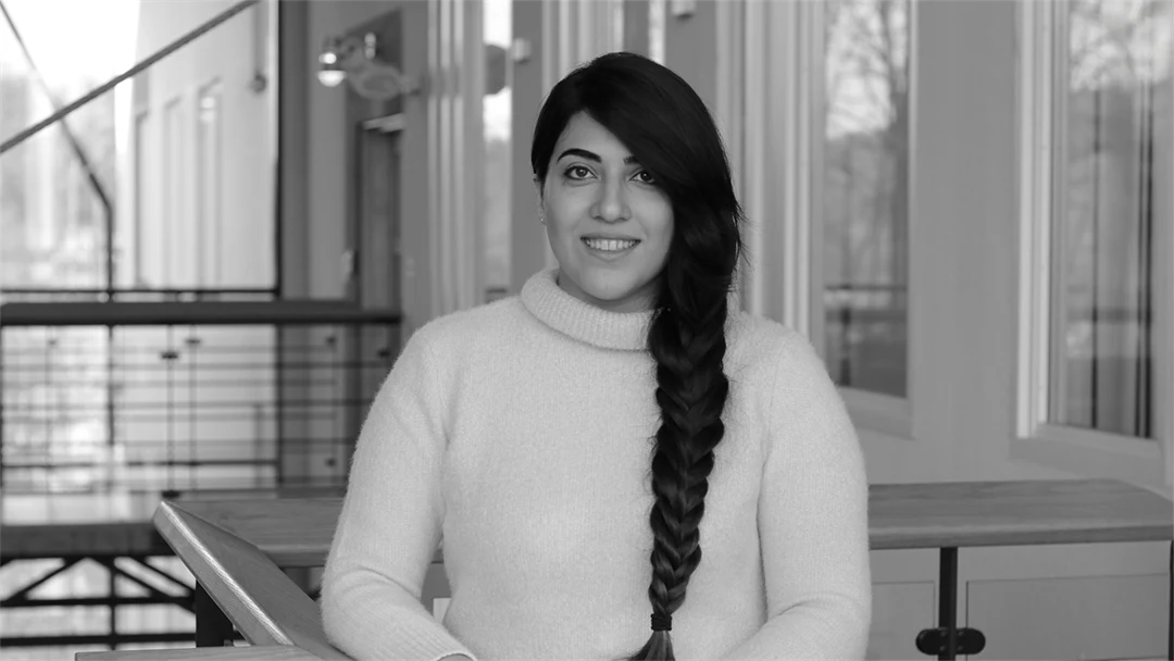 Faeze Zakaryapour Mittuniversitetet