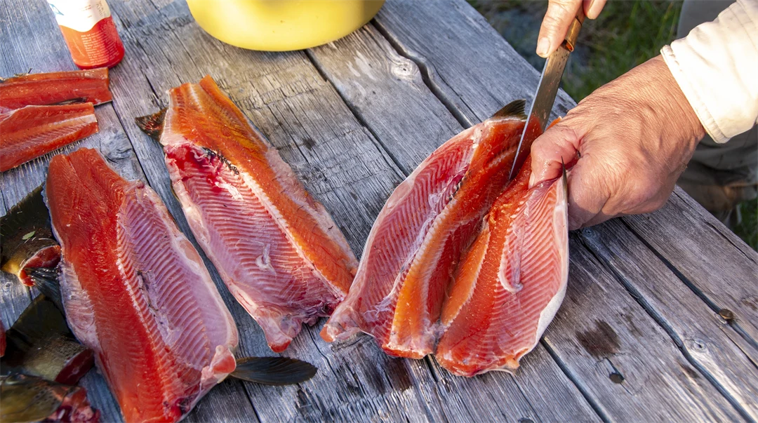 Händer som rensar fisk.