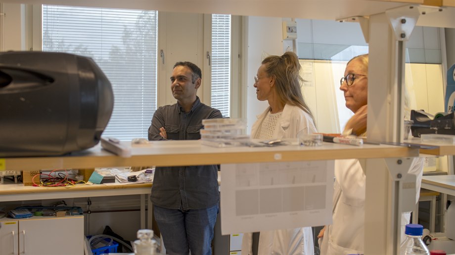 Knowledge Foundation visits MIUN