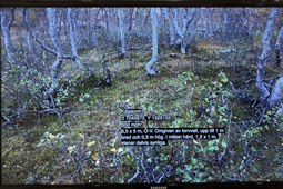 Fyndplatser efter samiskt liv på Middagsfjället noterades med GPS, skriftlig anteckning samt fotografi. Sydsamiska läsarröster Nils-Anders Jonsson och Laila Wilks samt undertexter på svenska återger dessa.