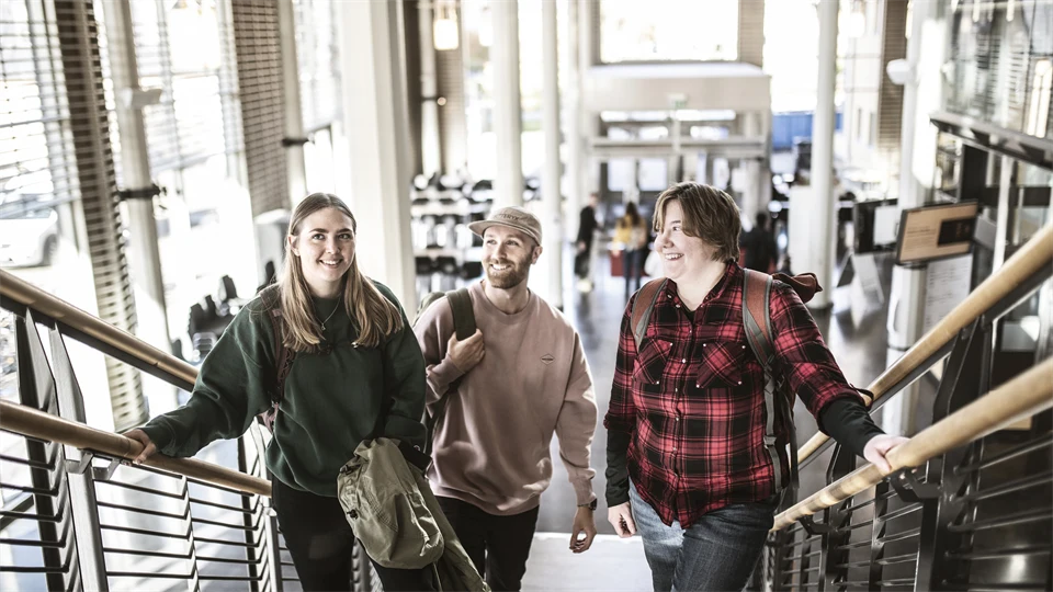 Studenter i campusmiljö.
