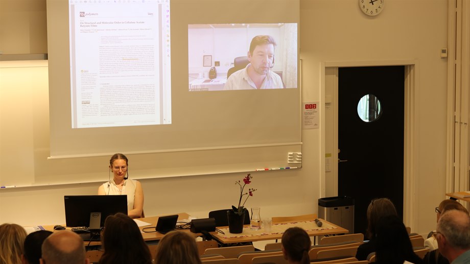 Malin Nejströms Lic