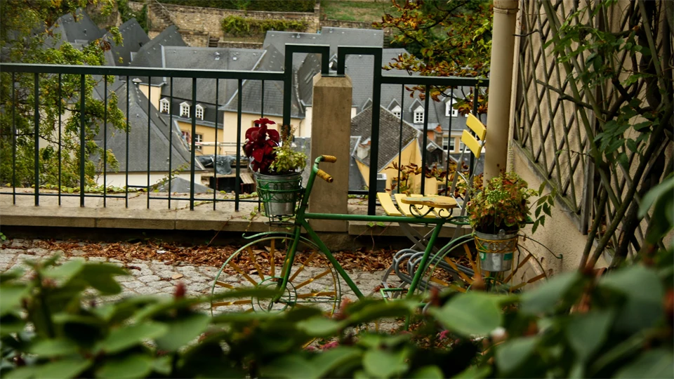 Gröna växter på en balkong