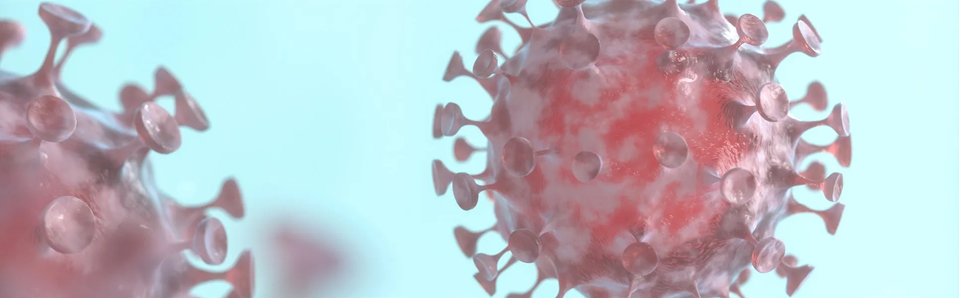 Corona virus