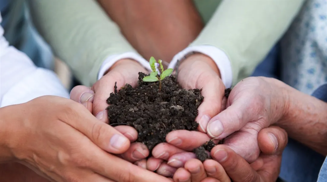 hållbarhet, samarbete, team, utveckling