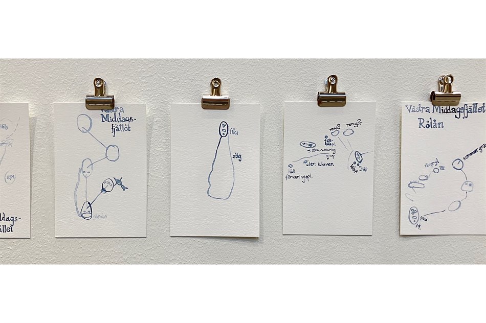 Kartor ut minnet handlar om kartans definition av en plats och den relation till platsen som lever i kroppen. Förhållandet gestaltas i notationer av den disorienterade kroppens upplevelse på Middagsfjället.