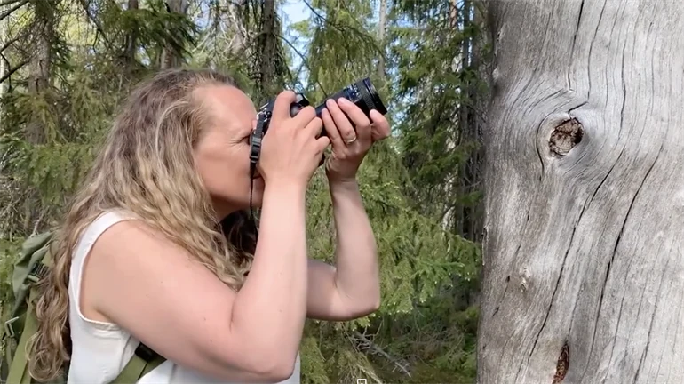 Kvinna fotograferar en trädstam