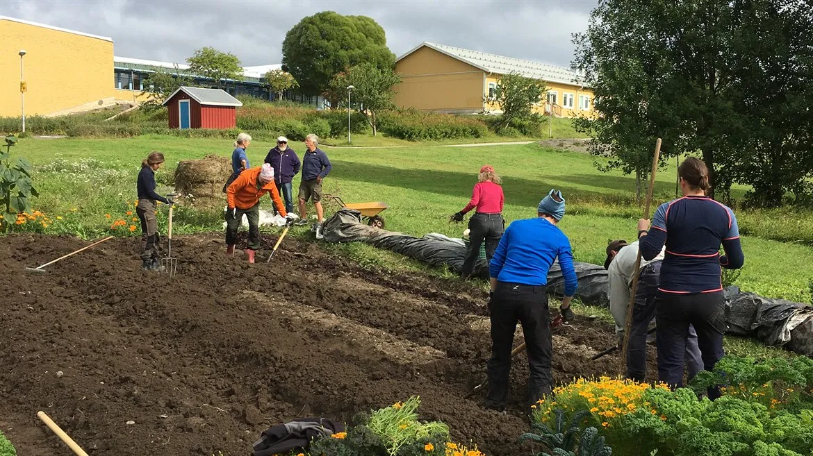 Nio människor arbetar i ett gemensamt trädgårdsland