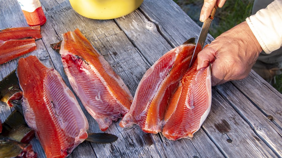 Fiske på sommarboplatsen i Såaloegorre.