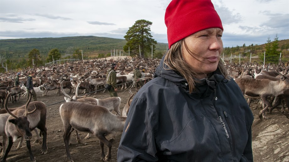 Elin Marie Duorra, Grønningen, Skæhkere sijte.