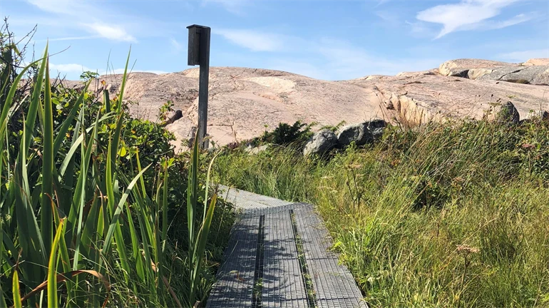 Vandringsled med spång