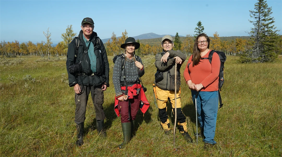 Fyra personer på en myr.