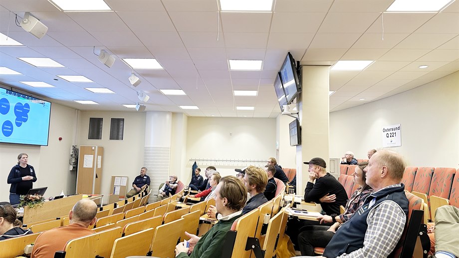 Kajsa Nilsson presenterar delprojektet Öppen inovation.