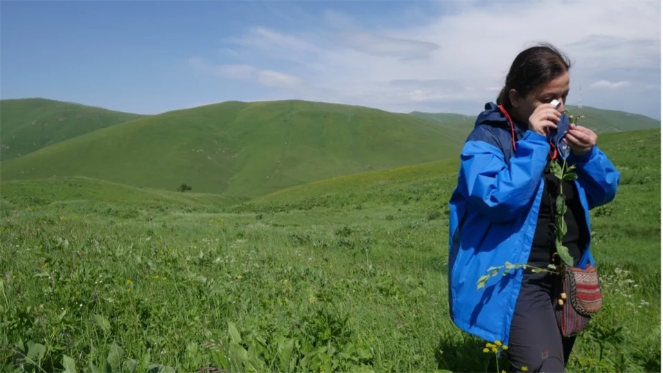 Anna Asatryan, expert i Alpmema-projektet, stående i ett grönt fält
