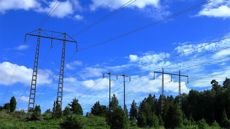  Power lines against a blue sky and with a forest in the background.