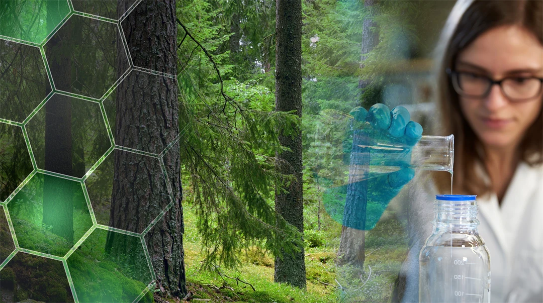 Montage av bild på skog och kvinna i laboratoriemiljö.