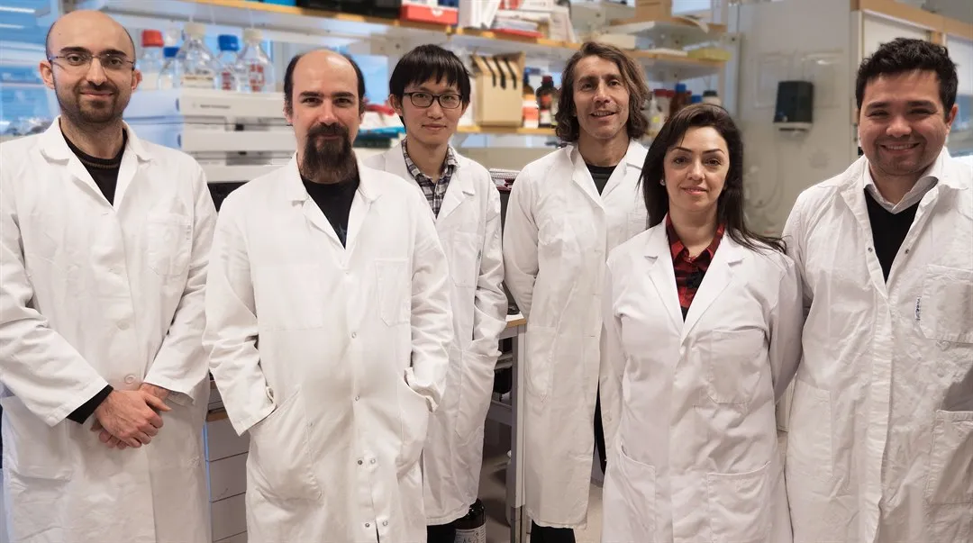 Forskargrupp Organisk kemi