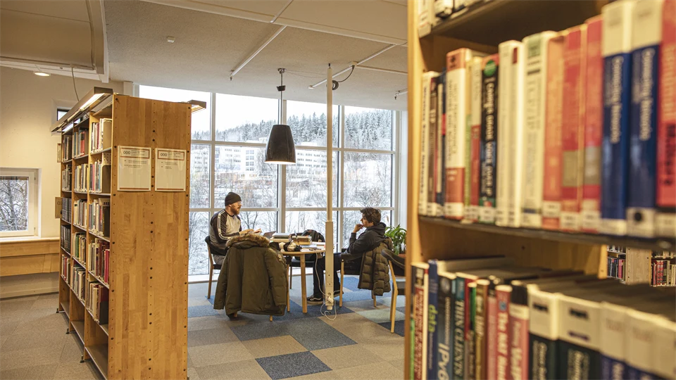 Studiesituation biblioteket Sundsvall
