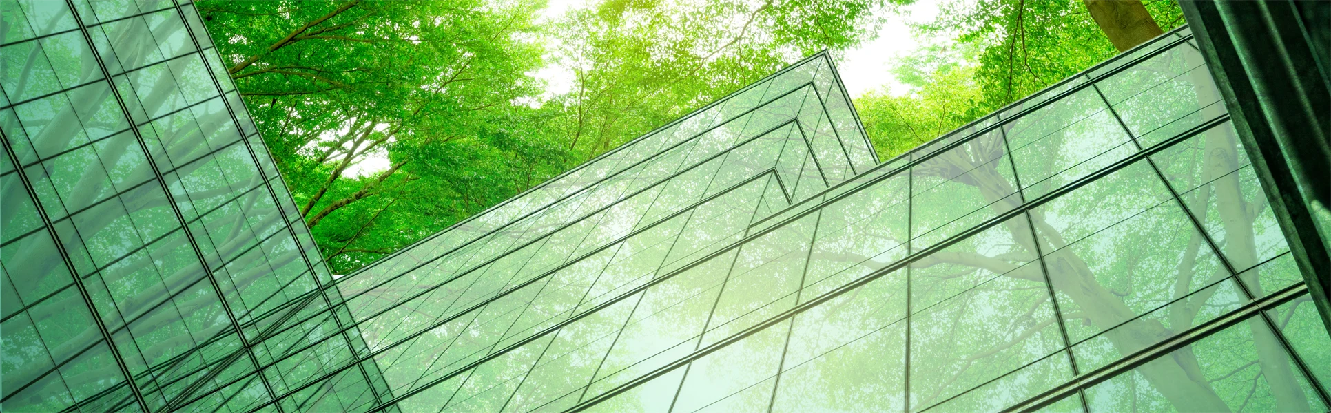 Ett abstrakt foto med gröna trädtoppar och glasväggar