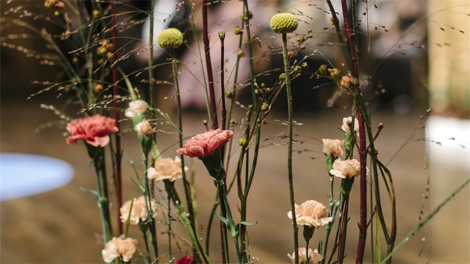 Akademisk högtid 2017