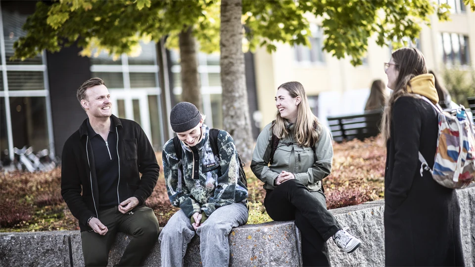 Studenter i campusmiljö.