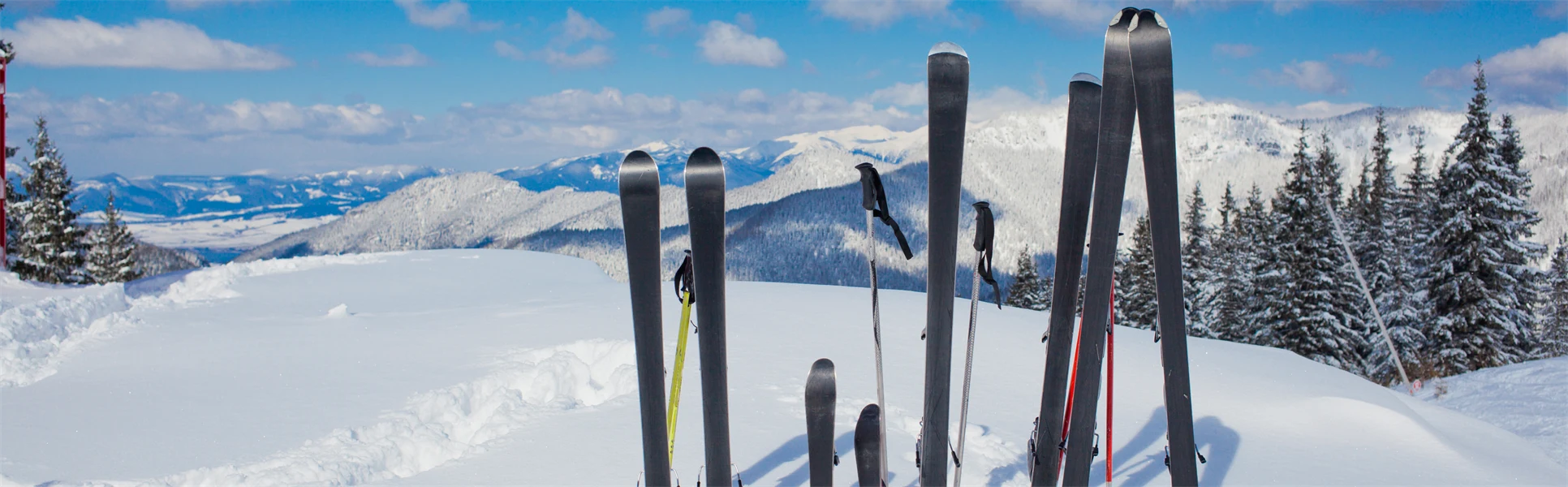 slalomskidor uppställda i snö med fjällutsikt i bakgrunden
