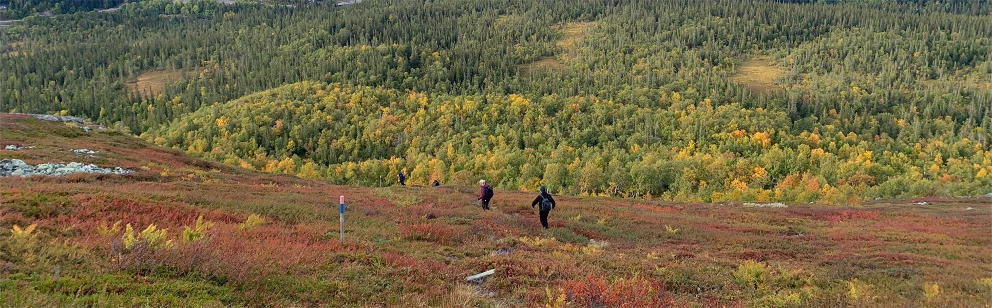 Fjällvandring i Bydalen
