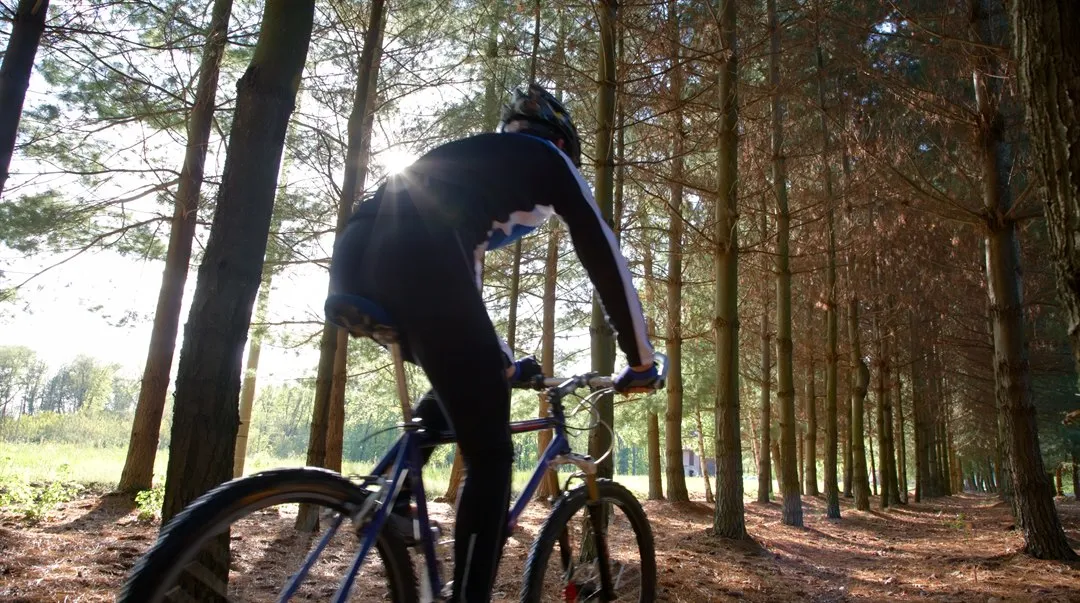person cyklar i tallskog